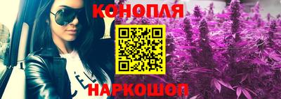 прущие грибы Усть-Илимск